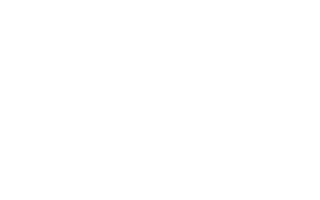 Skn Box